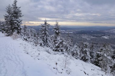 Jedlova hora, Çek Cumhuriyeti görünümden. Manzara, kışın bohem İsviçre Ulusal Parkı.