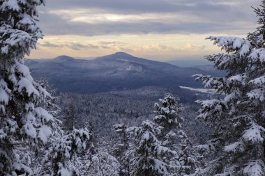 Jedlova hora, Çek Cumhuriyeti görünümden. Manzara, kışın bohem İsviçre Ulusal Parkı.