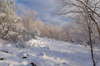 Jedlova hora, Çek Cumhuriyeti görünümden. Manzara, kışın bohem İsviçre Ulusal Parkı.