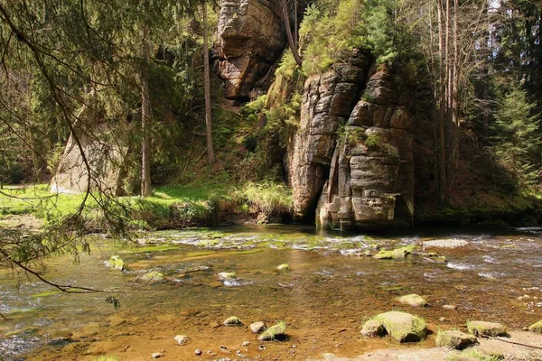 Homokkő Folyó Cseh Svájc Nemzeti Park — Stock Fotó