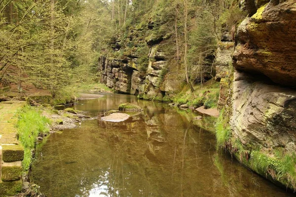 Homokkő Folyó Cseh Svájc Nemzeti Park — Stock Fotó