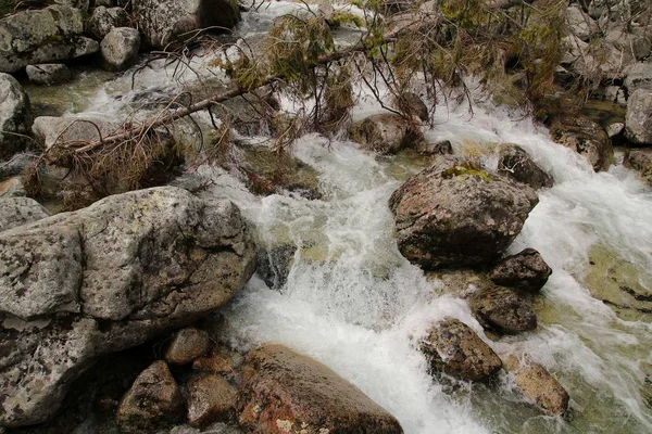 Górski Potok Tatrach Wysokich — Zdjęcie stockowe
