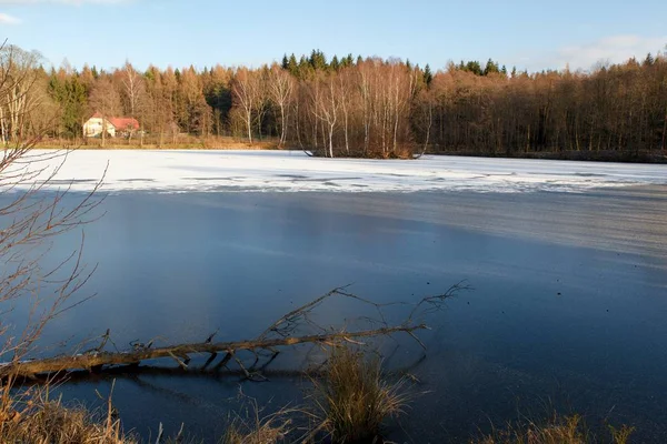 View Winter Landscape Pond Small Island Rumburk Czech Republic — Stock Photo, Image