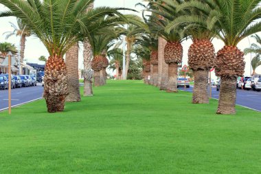 Morro Jable, Fuerteventura / İspanya, 24 Mayıs 2017: Morro Jable, Fuerteventura, Kanarya Adaları'nda sokak görünümü