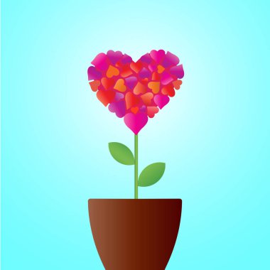 Saksıyı kalp şeklinde çiçek.