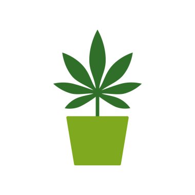 Marihuana ya da esrar bitki çiçek tencerede. Esrar ekimi. Marihuana yaprağı simgesi Logo şablonu. Sağlık ve medikal tedavi.