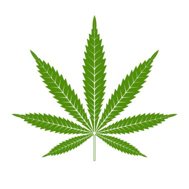Marihuana ya da esrar yaprak simge vektör Logo şablonu.