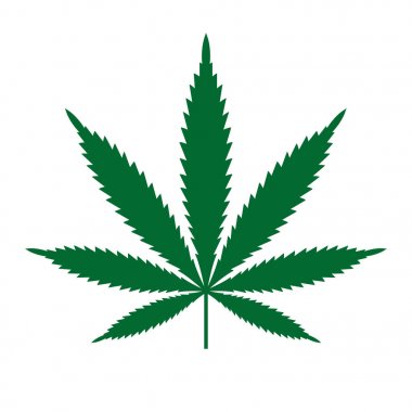 Marihuana ya da esrar yaprak simge vektör Logo şablonu.