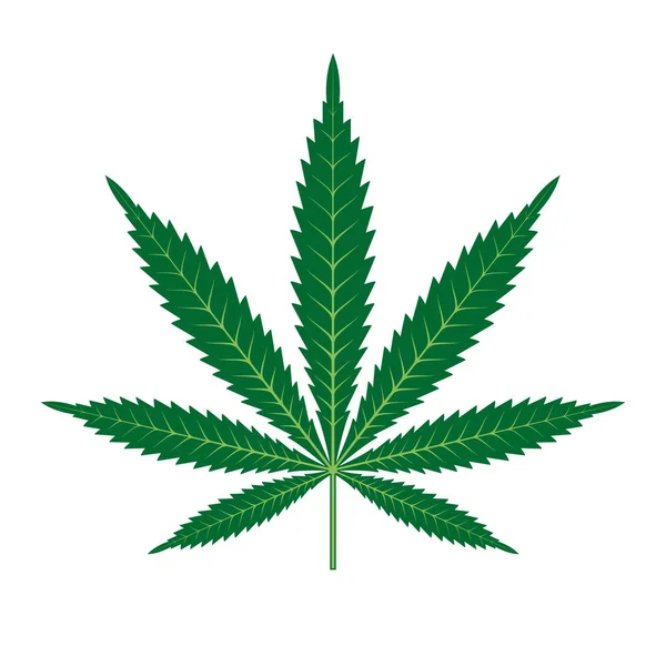 大麻或大麻叶子图标矢量徽标模板. — 图库矢量图片