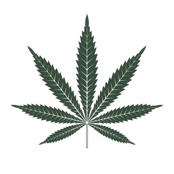 大麻或大麻叶子图标矢量徽标模板. — 图库矢量图片