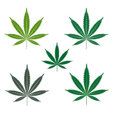 Esrar ya da marihuana yaprağı Icons set.