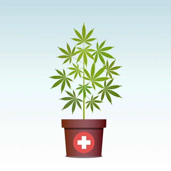 Медицинская марихуана или марихуана в марихуане. Зеленые травы в кастрюле. Выращивание конопли . — стоковый вектор