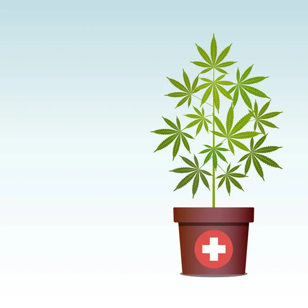 Lékařská marihuana nebo konopí v hrnci. — Stockový vektor
