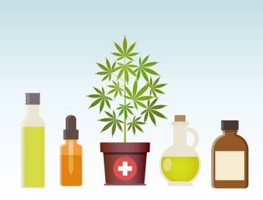 Esrar bitki ve Kenevir yağı. Tıbbi esrar.