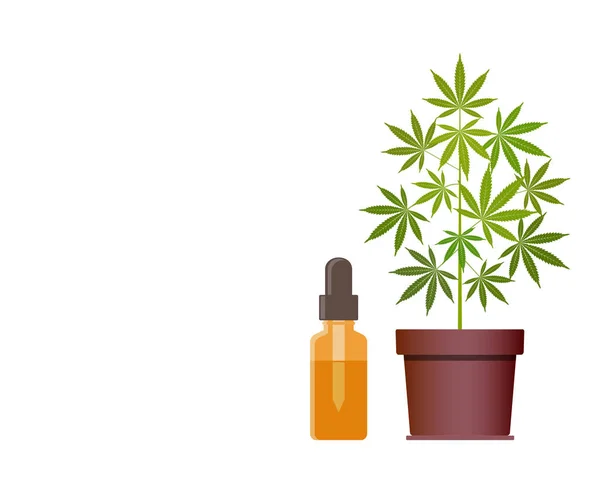 Planta de marihuana y gotero con aceite de CBD. Aceite de Cannabis. Marihuana medicinal . — Archivo Imágenes Vectoriales