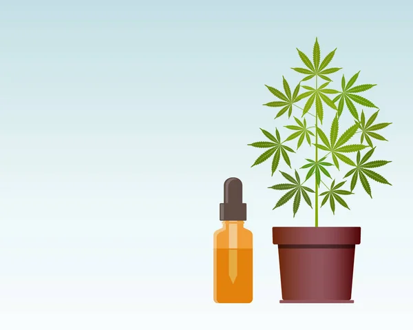 Marihuanainstallatie en pipet met Cbd olie. Cannabisolie. Medische marihuana. — Stockvector