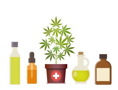 Esrar bitki ve Kenevir yağı. Tıbbi esrar.