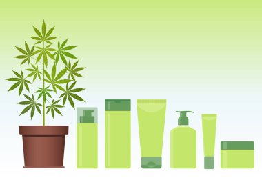 Marihuana ya da esrar bitki kenevir kozmetik ürünleri ile tencerede. Kremi, şampuan, sıvı sabun, jel, losyon, Melisa.