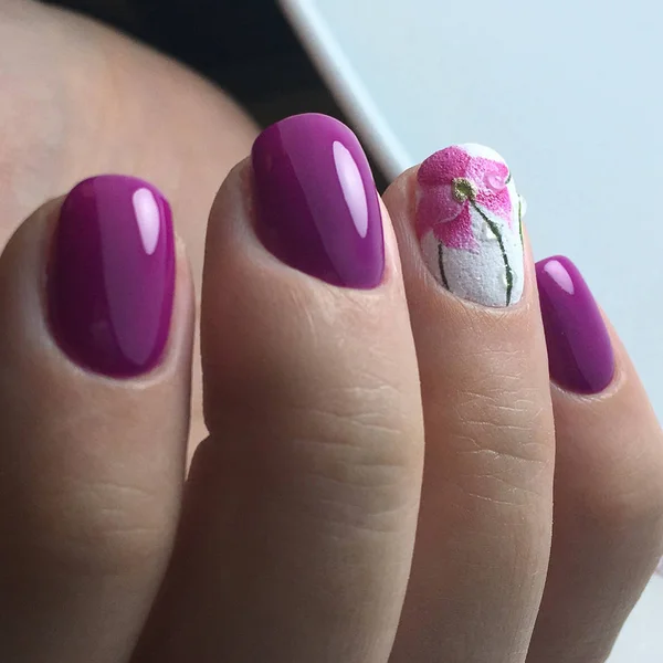 Violet Roos Bloem Kleur Nagels Gel Polish Manicure — Stockfoto