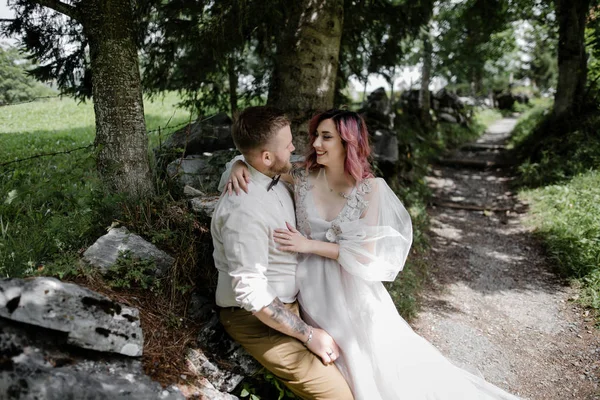 幸せな若い花嫁と花婿を抱いて 互いに笑みを浮かべて美しい山間の谷 アルプス — ストック写真