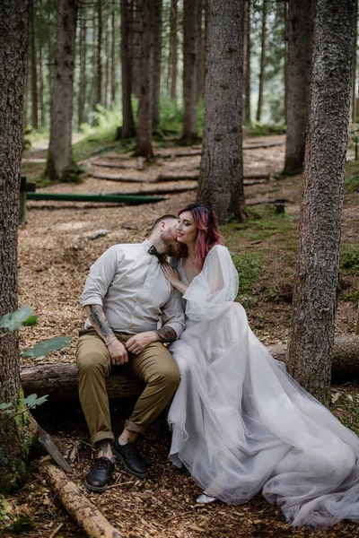 Beautiful Happy Young Wedding Couple Sitting Fallen Tree Alpine Forest — Stock Photo, Image