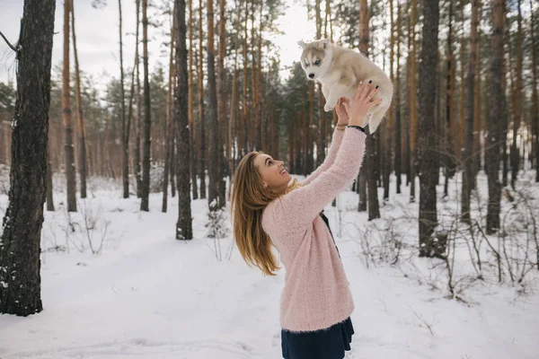 Husky kiskutya — Stock Fotó