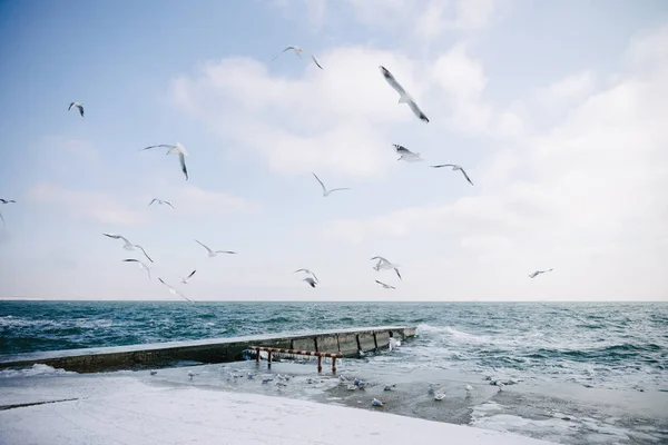 Pier — Stock Photo, Image