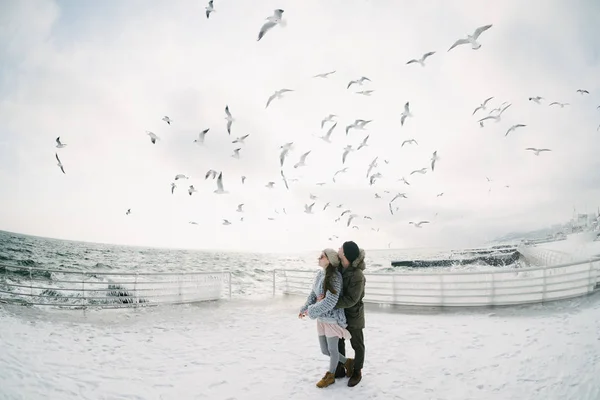 Gaviotas — Foto de Stock