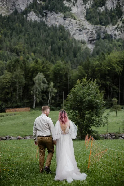 Vue arrière des mariés marchant sur la prairie verdoyante des Alpes — Photo de stock