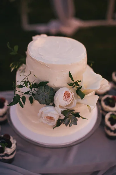 Kuchen — Stockfoto