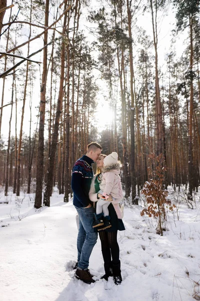 Floresta — Fotografia de Stock