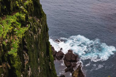 Çarpıcı latrabjarg kayalıklarla Avrupa s en büyük kuş uçurum