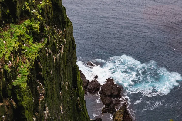 Splendide scogliere latrabjarg scogliera più grande d'Europa s uccello — Foto Stock