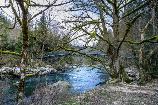 Puente y árboles musgosos cerca de la cascada saut du doubs — Foto de Stock