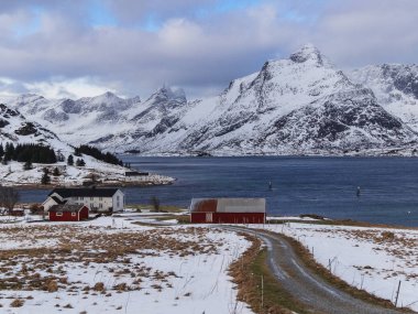 Panoramik Dağları ile reinefjorden için arka plan üzerinde