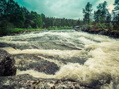 Norveç'te bir nehir yaz aylarında görüntüleyin