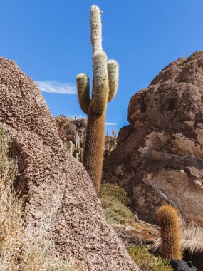 Isla de pescadores Tuz Gölü uyuni Bolivya