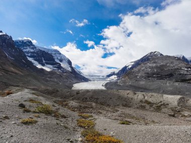 Athabasca glacier adlı columbia icefield japser Milli Parkı