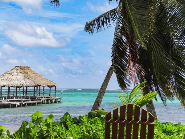tropik birleştirmek kum deniz ve gökyüzü san pedro belize