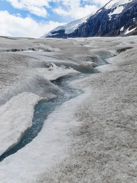 Glaciar Athabasca en el campo de hielo columbia Parque Nacional Japser —  Fotos de Stock