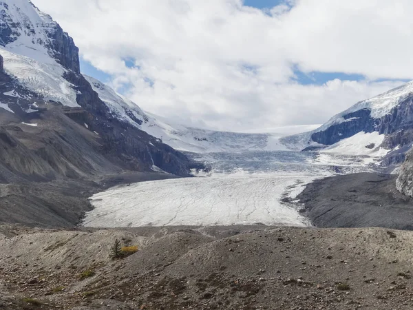 Ghiacciaio Athabasca al parco nazionale columbia icefield japser — Foto Stock