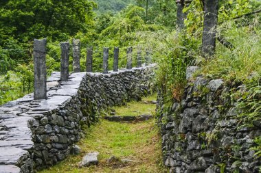 güzel valle maggia doğa manzara İsviçre