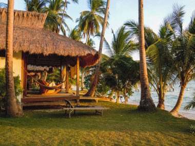 Palmiye ağaçları ve turistik ev ile plaj