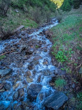 İsviçre Ulusal Parkı zernez yaz aylarında hiking