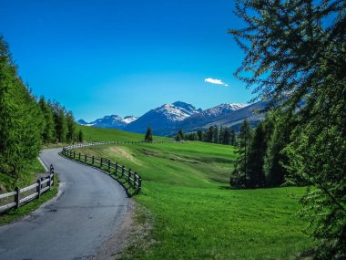 İsviçre Ulusal Parkı zernez yaz aylarında hiking
