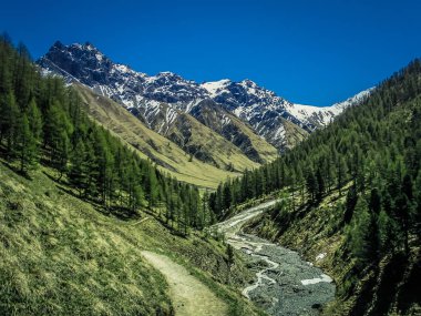İsviçre Ulusal Parkı zernez yaz aylarında hiking