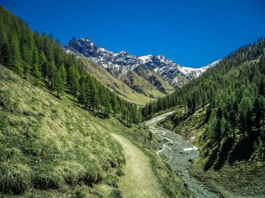 İsviçre Ulusal Parkı zernez yaz aylarında hiking