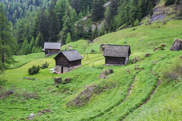 Старые дома в долине Маджиа, часть Швейцарии — стоковое фото