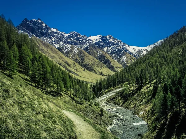 İsviçre Ulusal Parkı zernez yaz aylarında hiking