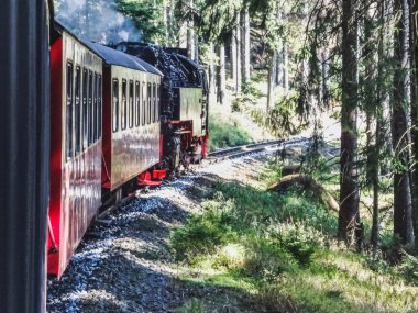 Buhar motoru tren brocken Harz bölgesine kadar gidiyor